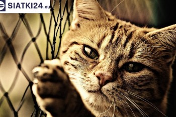Siatki Olkusz - Siatki na balkony - zabezpieczenie dzieci i zwierząt dla terenów Olkusza